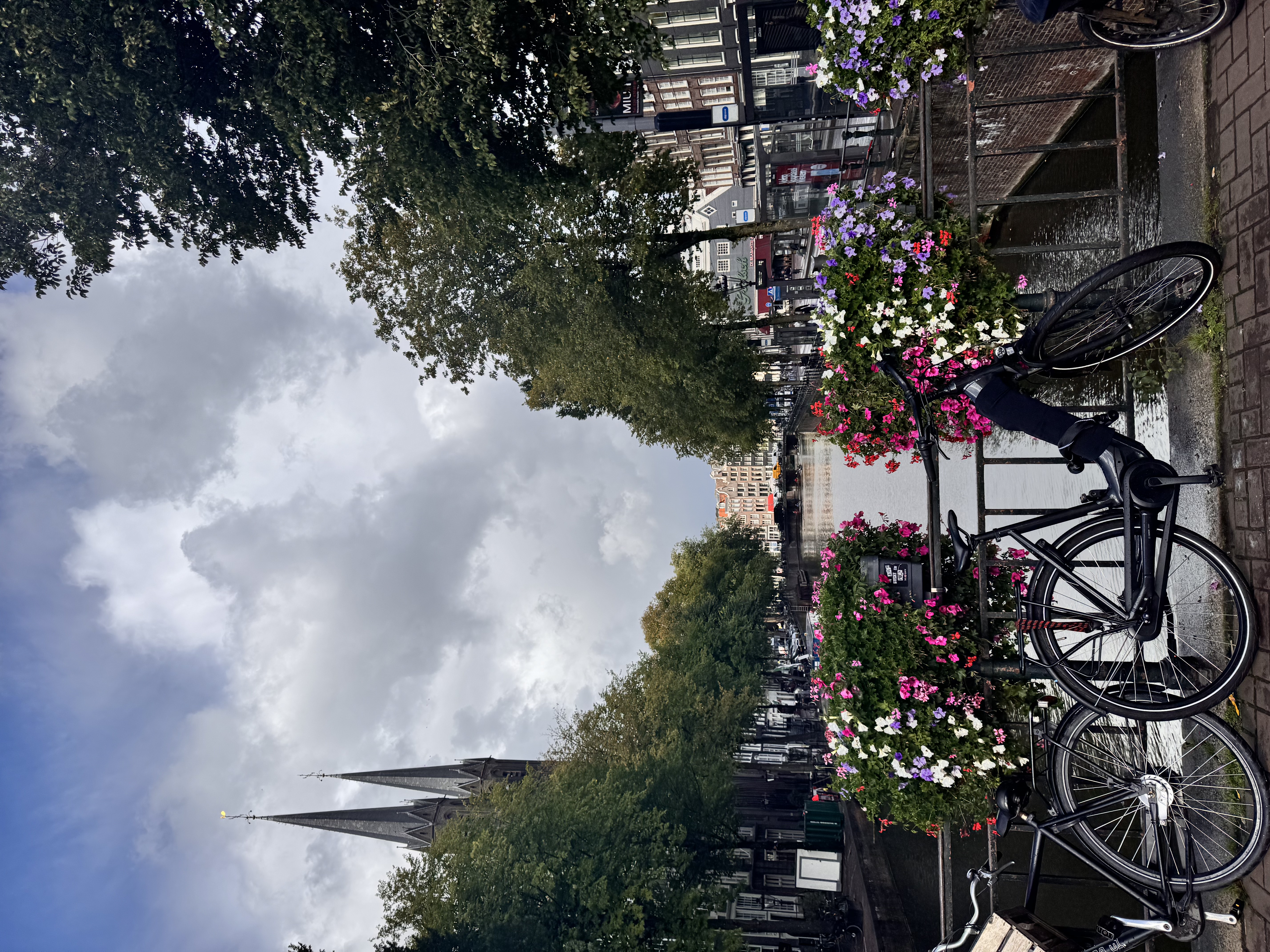 Netherlands Adventure - IMG_9583.jpeg